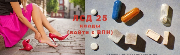 прущий лед Каменка