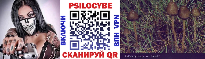 Купить  Карпинск  Псилоцибиновые грибы Magic Shrooms 